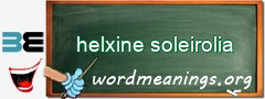 WordMeaning blackboard for helxine soleirolia